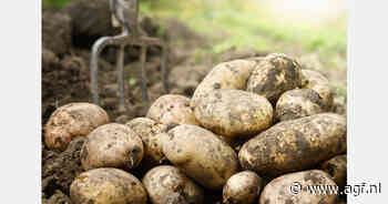Zorgen bij start Spaanse aardappelseizoen