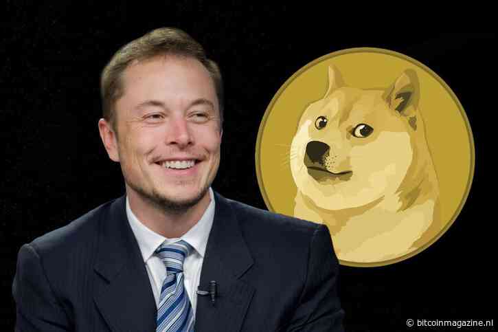 DOGE koers overtreft BTC na Elon Musk’s crypto tweet – nu investeren in dog meme crypto?