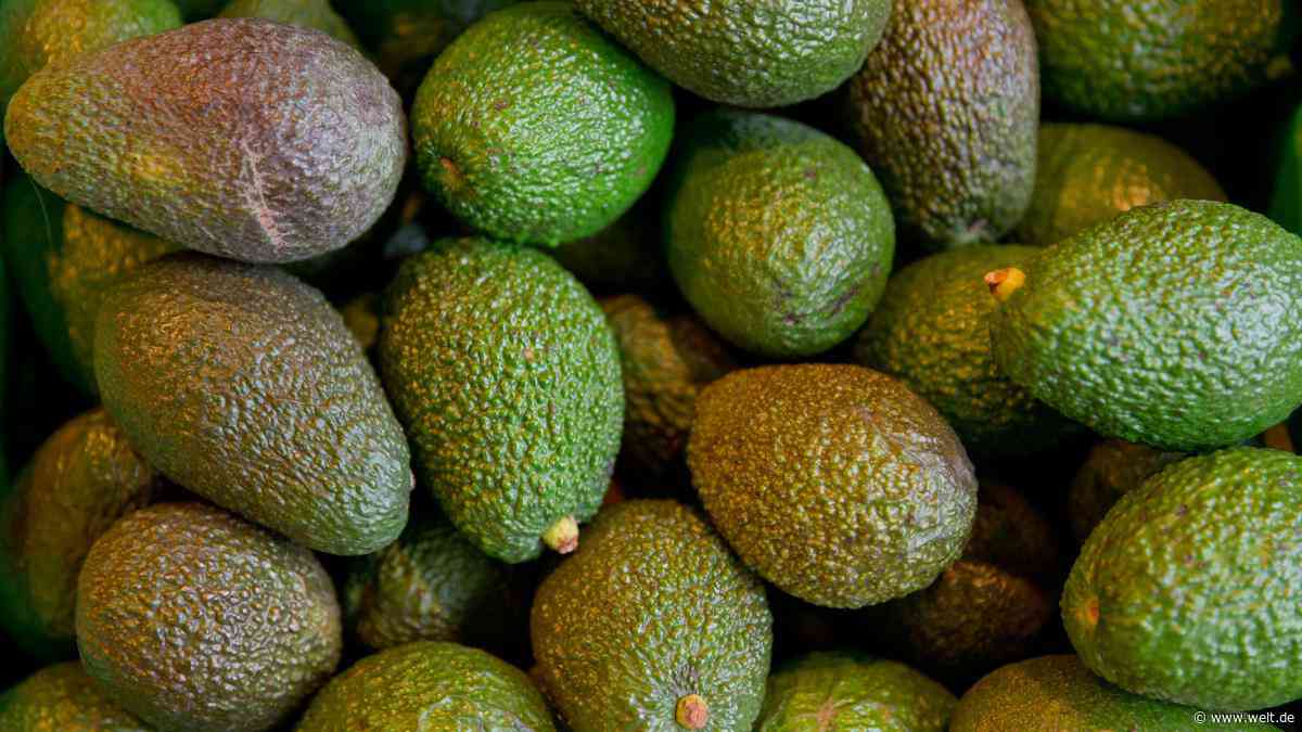 Avocado-Importe haben sich verfünffacht