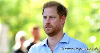 Prince Harry blasted over receiving 'special treatment' amid US visa woes