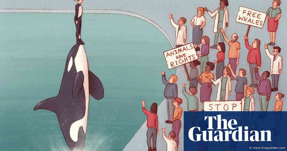 The killer whale trainers who still defend captivity: ‘I’m an endangered species myself’