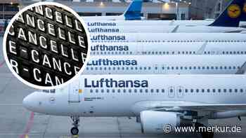 „Flugreisende sind die Leidtragenden“ – Streiks bringen Lufthansa-Stornierungen auf Rekordhoch