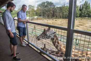 Pakawi Park reageert op verbod om giraffen te aaien: “Wetgeving dateert al van 2019”