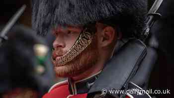British Army beards: Soldiers from the Welsh Guards show off their facial hair for the first time after King Charles gave defence chiefs permission to end 100-year ban