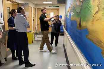 See how artist creates beautiful murals to brighten up Sunderland Royal Hospital wards