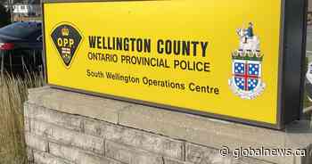 2 dead following 3-vehicle collision in Wellington County