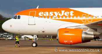 easyJet suspends flights to Israel as British Airways and Wizz Air also give updates