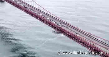 San Francisco, il Golden Gate Bridge bloccato da manifestanti pro-Gaza: la polizia porta via le persone – Video