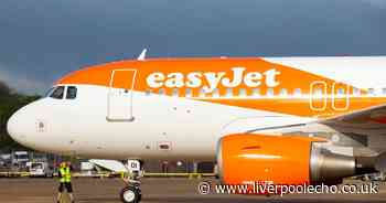 EasyJet cancels hundreds of flights and sends message to customers