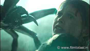 Is de nieuwe horrorfilm 'Sting' met moordlustige spinnen de nieuwe 'Alien' of 'Slither'?