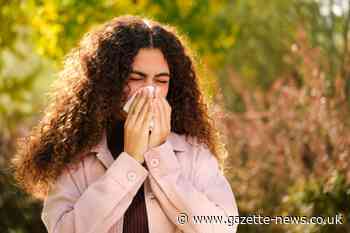 Pharmacist shares when to take hay fever medication