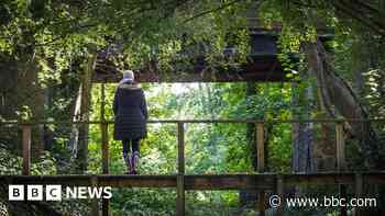 Council to restore heritage Sussex rail bridge