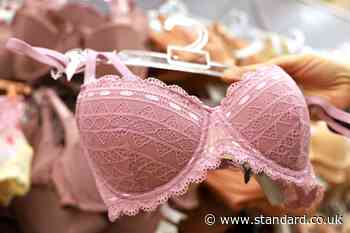 What everyday items are exempt from VAT in the UK? Radiographers push to add bras to the list