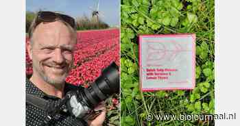 Reisfotograaf ontwikkelt biologische tulpenthee