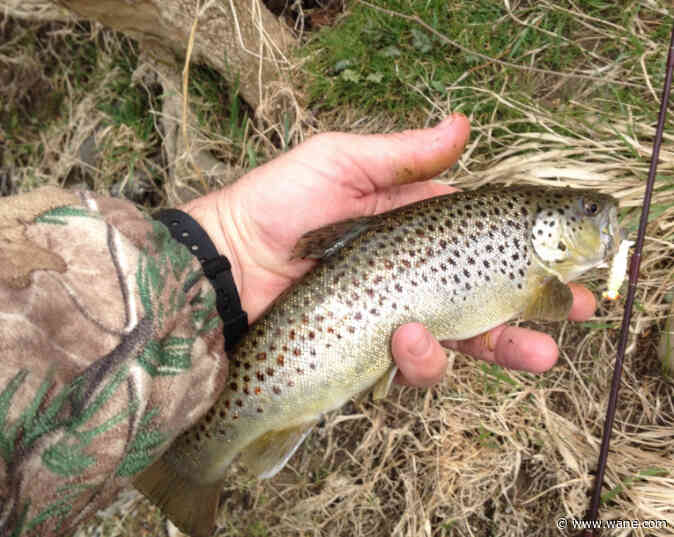 Thousands of trout to be stocked in Indiana streams as fishing season approaches