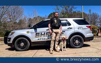 K-9 Colby and Deputy Edwards: Tackling Crime in Attala