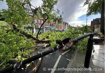 Tottenham Lane, Crouch End huge tree falls in storm
