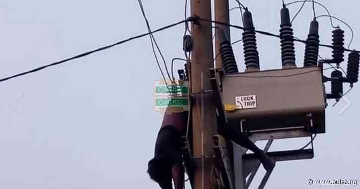 Man electrocuted while vandalising BEDC transformer, leaves area in darkness