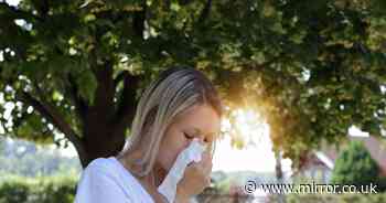 Is it hay fever, a spring cold or Covid? NHS experts share important clues