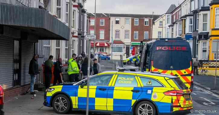 ‘Aggressive’ XL bully seized by armed police after biting woman’s hand