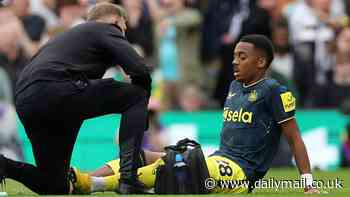 Joe Willock will miss the rest of the campaign in the latest injury blow for Newcastle - as it's decided midfielder should rest troublesome achilles in order to be fully fit for pre-season