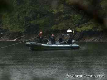 Planning next bid to rescue B.C. orca calf will take ’few days’: Fisheries Department