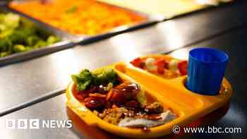 School meals 'seen as somewhat of a luxury'