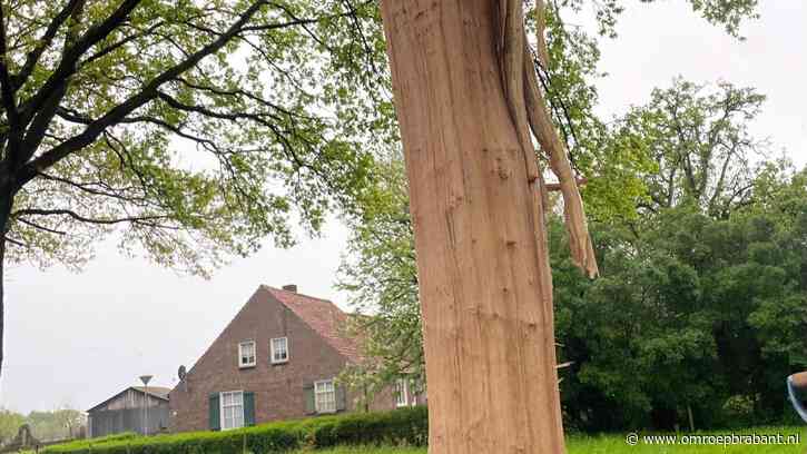 Blikseminslag slaat de schors van de bomen: 'Zoiets nog nooit meegemaakt'