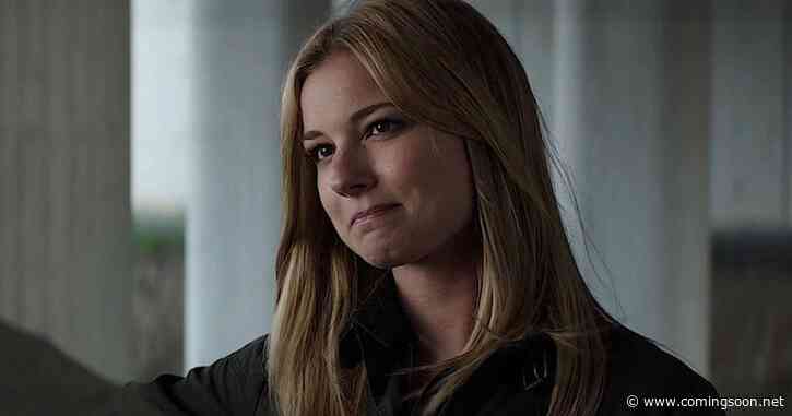 Falcon and the Winter Soldier Star Emily VanCamp to Lead Drama Series About Former Sex Worker