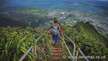 Hawaii to remove famed 'stairway to Heaven' created by the Navy 80 years ago after hikers and influencers refused to abide by its closure