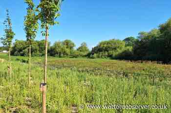 Kings Langley Rectory Farm 135-home appeal inquiry concludes