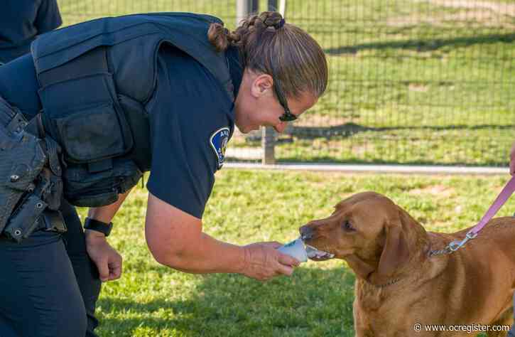 Cops, dog owners and pups connect in Anaheim