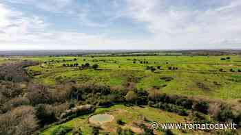 A Castel Romano l'oasi affiliata Wwf realizzata da McArthurGlen