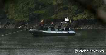 B.C. orca rescue near Zeballos planning to take a ‘few days’, officials say