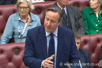 ‘Overreaching’ ECHR plants seeds of its own destruction, says Lord Cameron