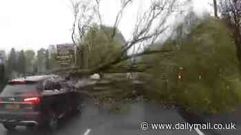 Terrifying moment huge tree comes crashing down and falls just feet from passing motorists after high winds caused carnage across UK