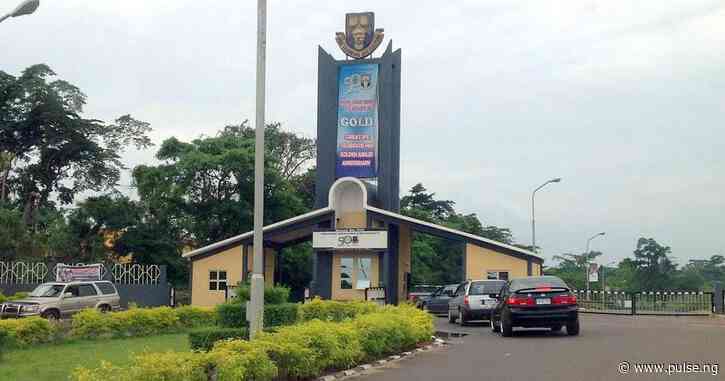 FG suspends mining activities in OAU after reports of illegal operations