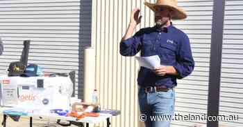 Getting on top of lamb mortality rates this lambing season