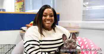 For the Love of Dogs fans make Alison Hammond 'legacy' comment after debut