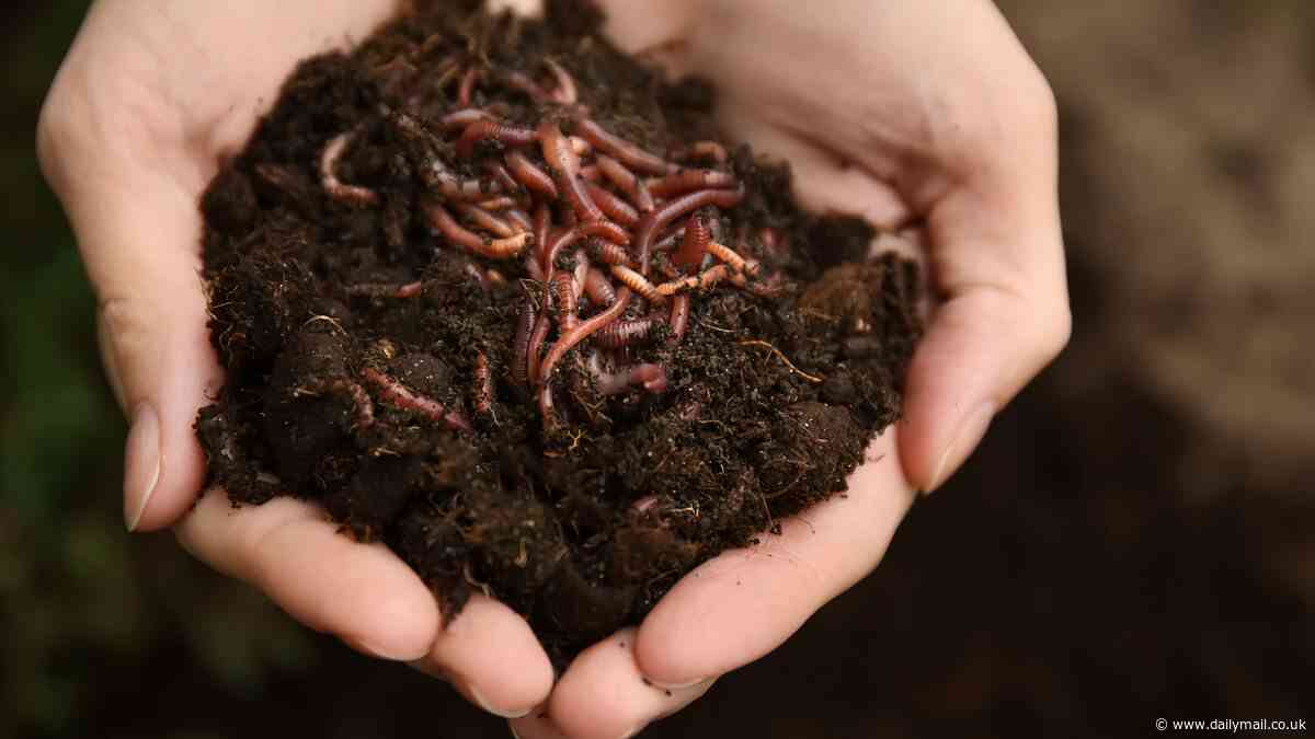 Celebrities and MPs push for the government to ban the sale of peat compost to gardeners