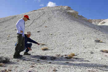 Nevada’s Rhyolite Ridge lithium project advances to next stage