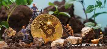 Bitcoin-Halving 2024: Hut 8-CEO prognostiziert weniger Pleiten bei Bitcoin-Minern