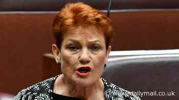 Pauline Hanson makes explosive claims about the reasons behind Monday night's terror attack - as she calls out Albanese government