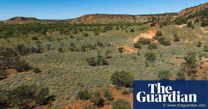 300,000ha Queensland cattle station bought for conservation after $21m donation