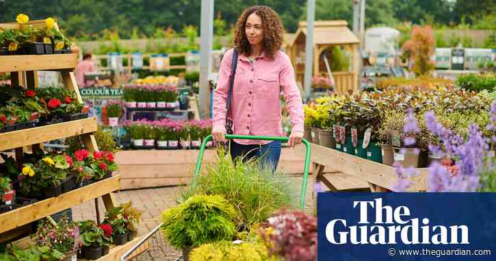 Garden centres in UK stockpile plants before new Brexit checks