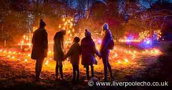 Chester Zoo's Lanterns and Lights trail returning with new additions