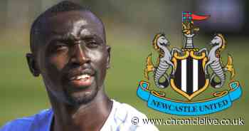 Papiss Cisse's exciting observation as he thinks Newcastle have found a 'proper striker'