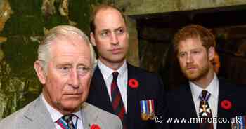 King Charles issued desperate 9-word plea to Princes William and Harry after tense showdown