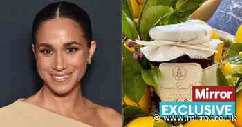 Meghan Markle urged to 'expand her outreach' if American Riviera Orchard is to succeed