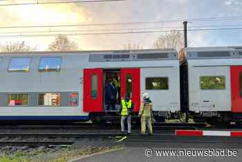 Trein rijdt pony aan: vertragingen nadat spoorverkeer tijdlang onderbroken werd tussen Brugge en Lichtervelde